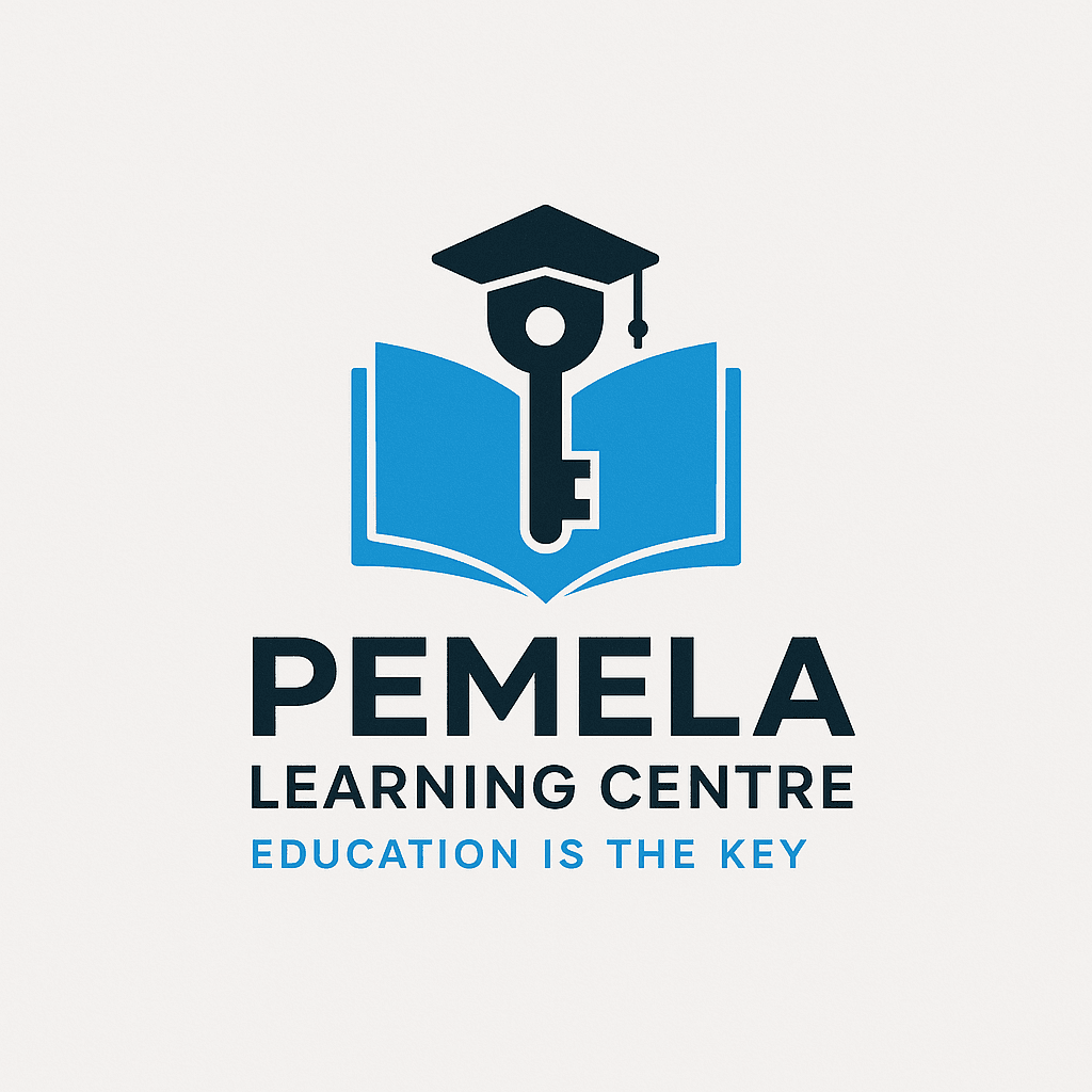 PEMELA logo